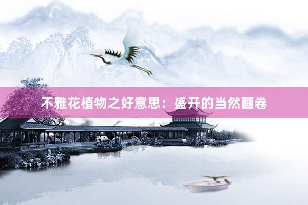 不雅花植物之好意思：盛开的当然画卷